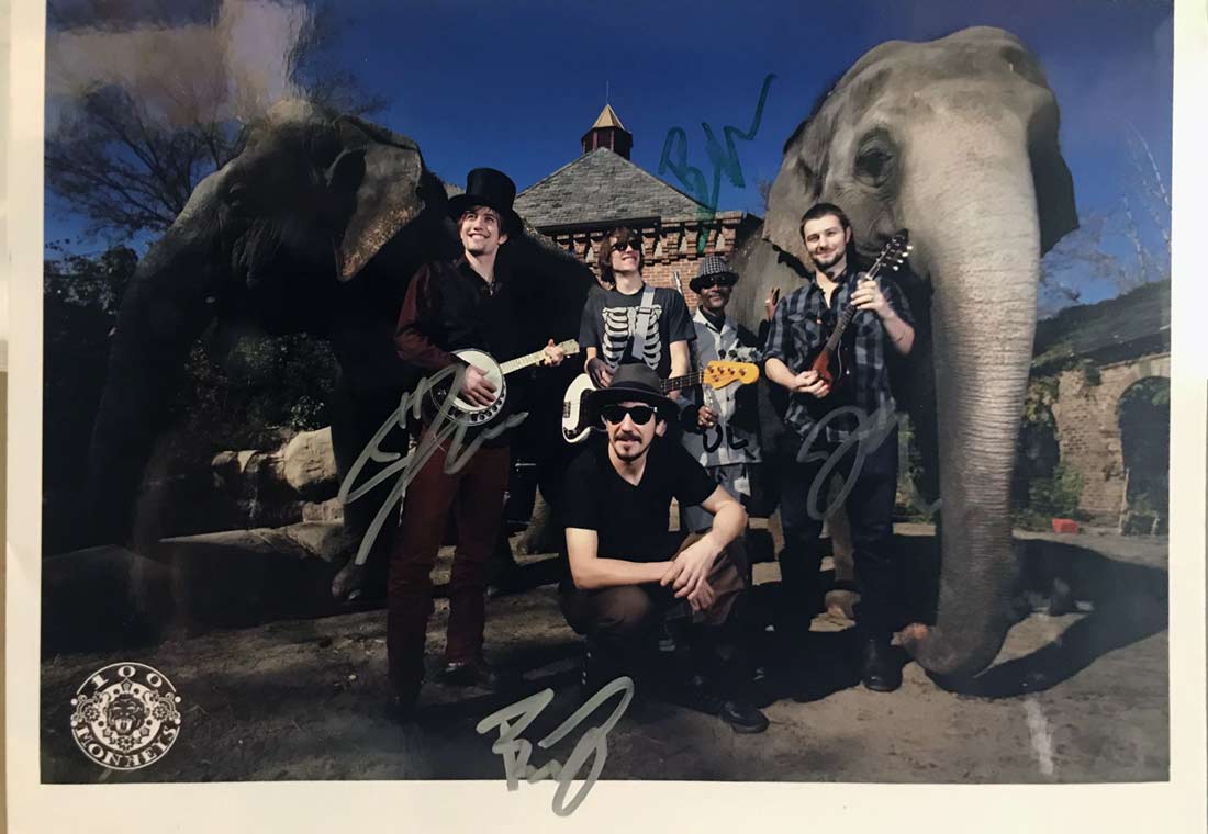 100 Monkeys