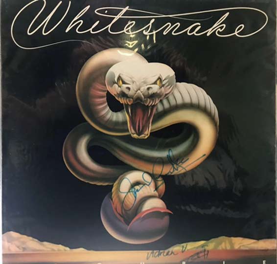 Whitesnake