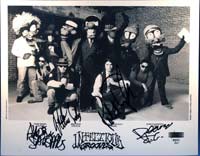 Infectious Grooves